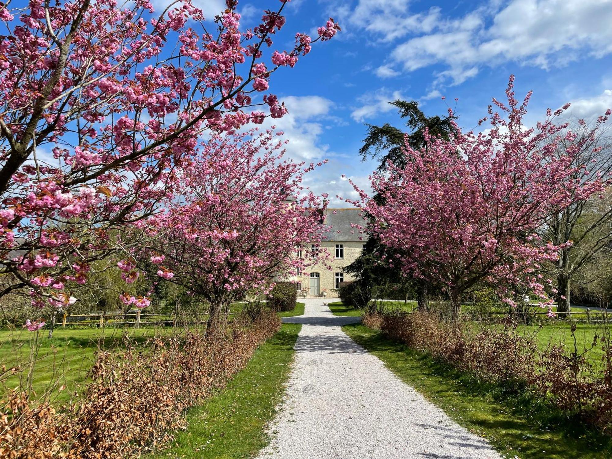 Chateau De Hébergement de vacances *